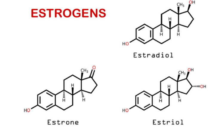 Estrogen thảo dược là cách bổ sung estrogen được sử dụng phổ biến hiện nay