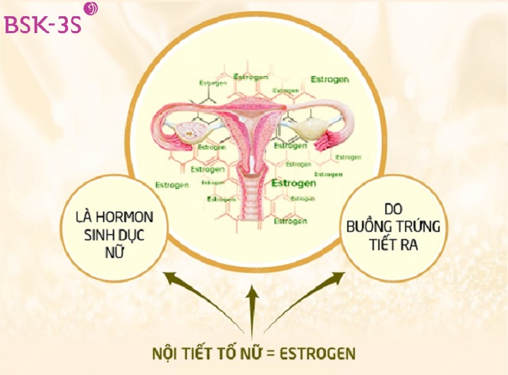 Hormone là các chất do tuyến nội tiết sản sinh và đi vào trong máu