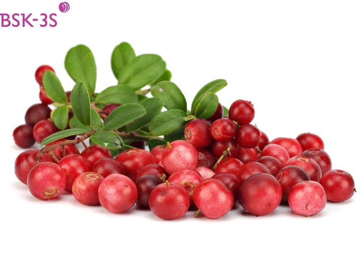 Lingonberry. thực phẩm chức năng chống lão hóa da hiệu quả tốt