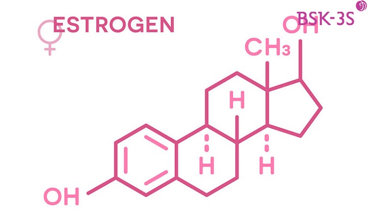 Estrogen là vai trò quan trọng đối với sự phát triển và duy trì đặc tính nữ