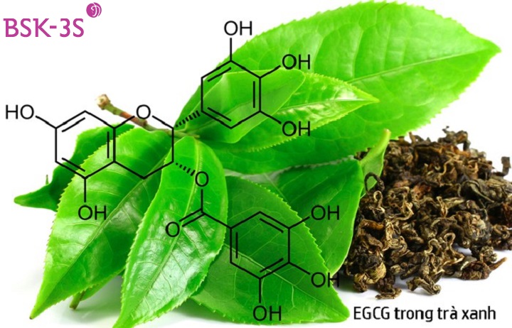 EGCG có tác dụng giảm viêm, chống oxy hóa và chống gốc tự do, giúp giảm tổn thương tế bào da