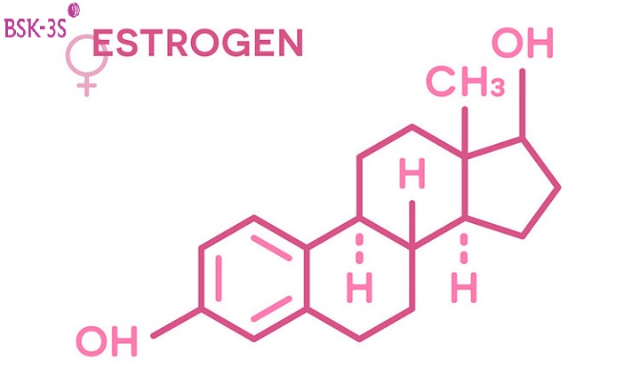  Chỉ số Estrogen