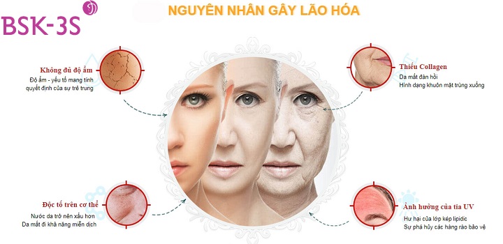 Lão hóa là một quá trình tự nhiên của cơ thể con người